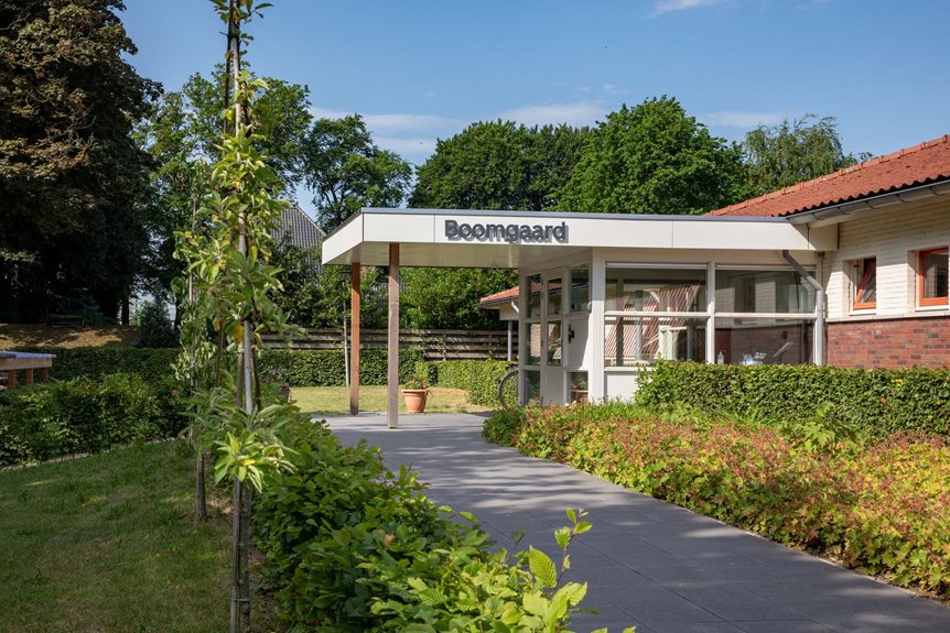 Orde, overzicht en structuur