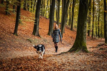 Anders organiseren wijkverpleging: van routes naar diensten